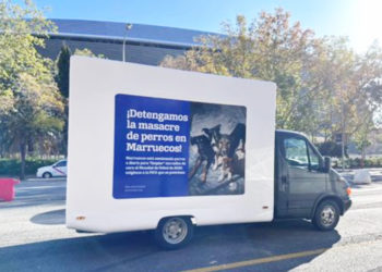 temen-matanza-masiva-perros-callejeros-mundial-2030