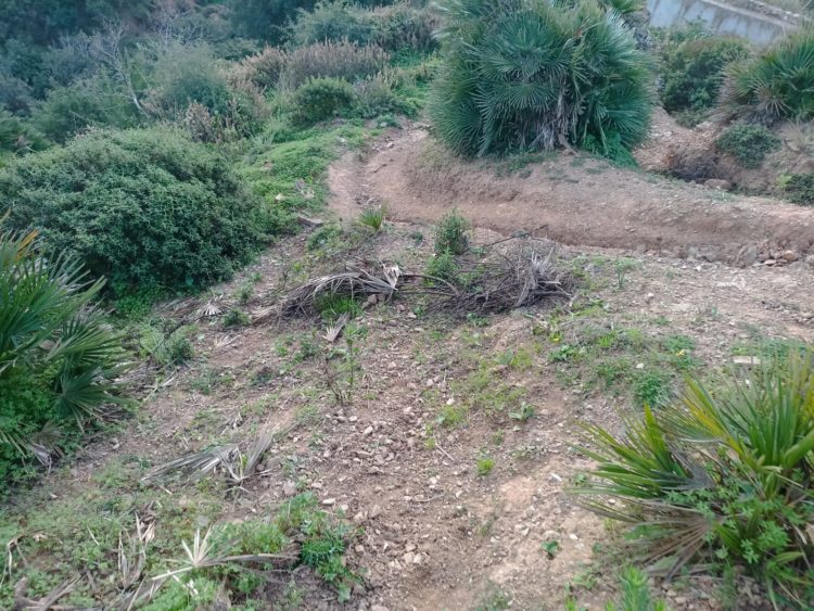 daubma-denuncia-practicas-deportivas-perjudican-medio-ambiente-4