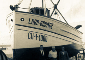 naufragio-lobo
