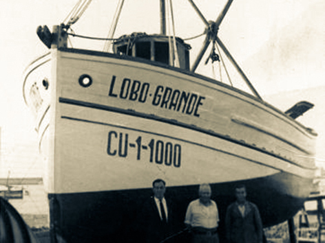naufragio-lobo