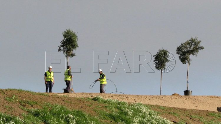 arboles-trabajo-caminos-nueva-vida-parque-santa-catalina-030