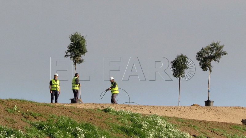arboles-trabajo-caminos-nueva-vida-parque-santa-catalina-030