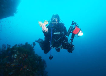 conocer-mar-salvaguardarlo-fundacion-museo-corales-pesca-007