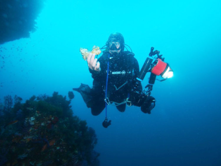 conocer-mar-salvaguardarlo-fundacion-museo-corales-pesca-007