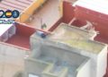 detencion-policia-nacional-raton-8