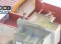 detencion-policia-nacional-raton-9