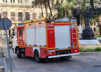 palmera-plaza-africa-borrasca-herminia-bomberos-2