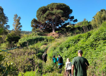 proteger-biodiversidad-montes-ceuta