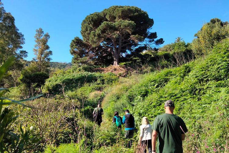 proteger-biodiversidad-montes-ceuta