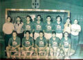 antiguo-alfonso-vega-siempre-terrenos-juego-4