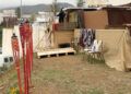 bilal-ahmed-convierte-vertedero-refugio-sanidad-arrebata-animales-17