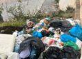 bilal-ahmed-convierte-vertedero-refugio-sanidad-arrebata-animales-25