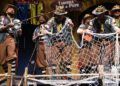 caballas-actuacion-revellin-carnaval-2025-004