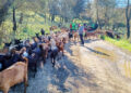 club-manada-realiza-ruta-buitreras-8
