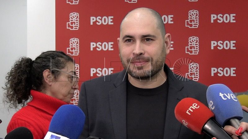 cohesionar-partido-reestructurarnos-objetivos-perez-triano-psoe