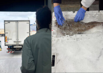 comparecencia-delegada-pescado-Marruecos-aduana-comercial