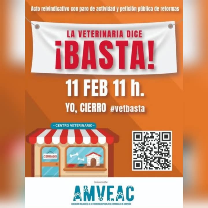 concentracion-veterinarios