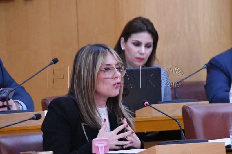 debate-pleno-resolutivo-febrero-2025-010
