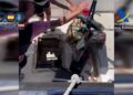 desarticulada-red-pase-hachis-usaban-armas-guerra-huelva-marruecos-1