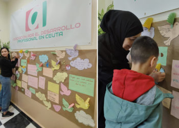 dia-paz-asociacion-desarrollo-profesional-1
