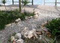 embellece-benitez-cuna-legion-exigen-arranque-plantas-1