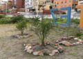 embellece-benitez-cuna-legion-exigen-arranque-plantas-10