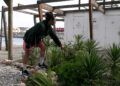 embellece-benitez-cuna-legion-exigen-arranque-plantas-6