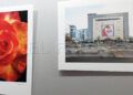 exposicion-lazos-asturias-corea-flote-muestra-fotografica-1