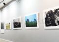 exposicion-lazos-asturias-corea-flote-muestra-fotografica-2
