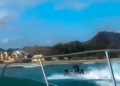 guerra-guardia-civil-narcolanchas-sigue-4