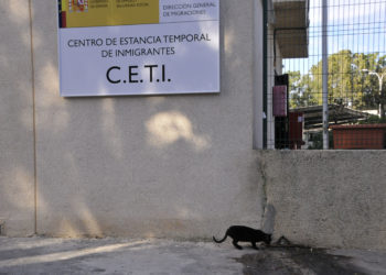inspeccion-trabajo-guerra-ceti-gatos
