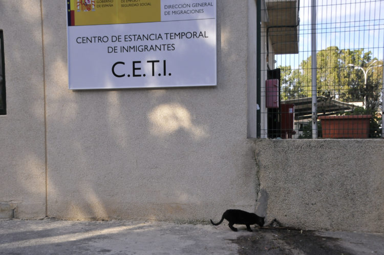 inspeccion-trabajo-guerra-ceti-gatos