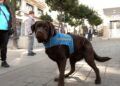 javier-tiene-gazpacho-perro-asistencia-autismo