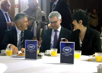 magnus-brunner-fernando-grande-marlaska-elma-saiz-menores.jpg