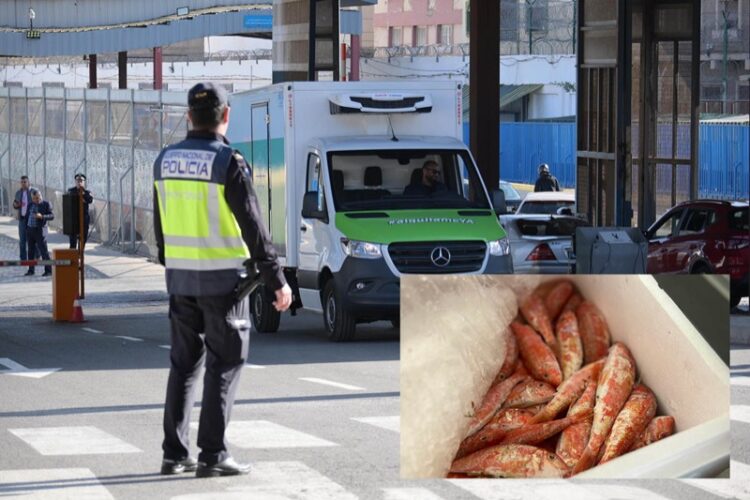melilla-recibe-primer-camion-pescado-procedente-marruecos