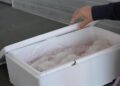 melilla-recibe-primer-camion-pescado-procedente-marruecos