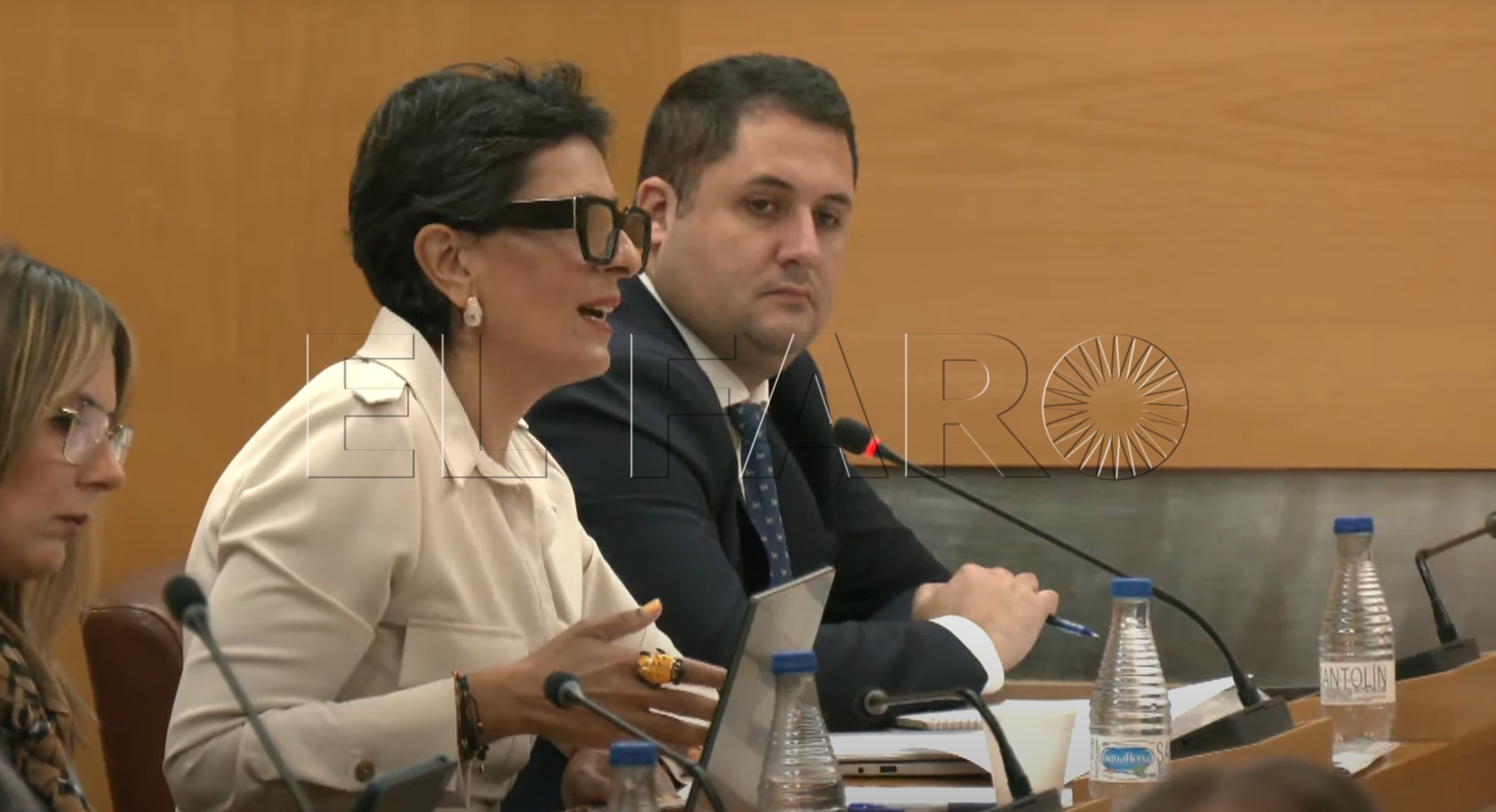 pleno-17-febrero-2025-6