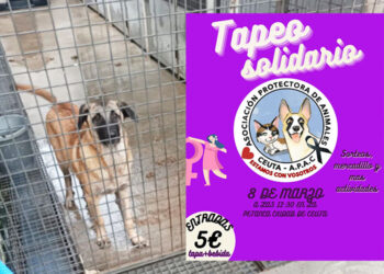 tapeo-solidario-protectora