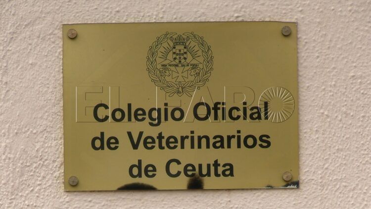 veterinarios-echan-cerrojo-suman-manifestacion-3