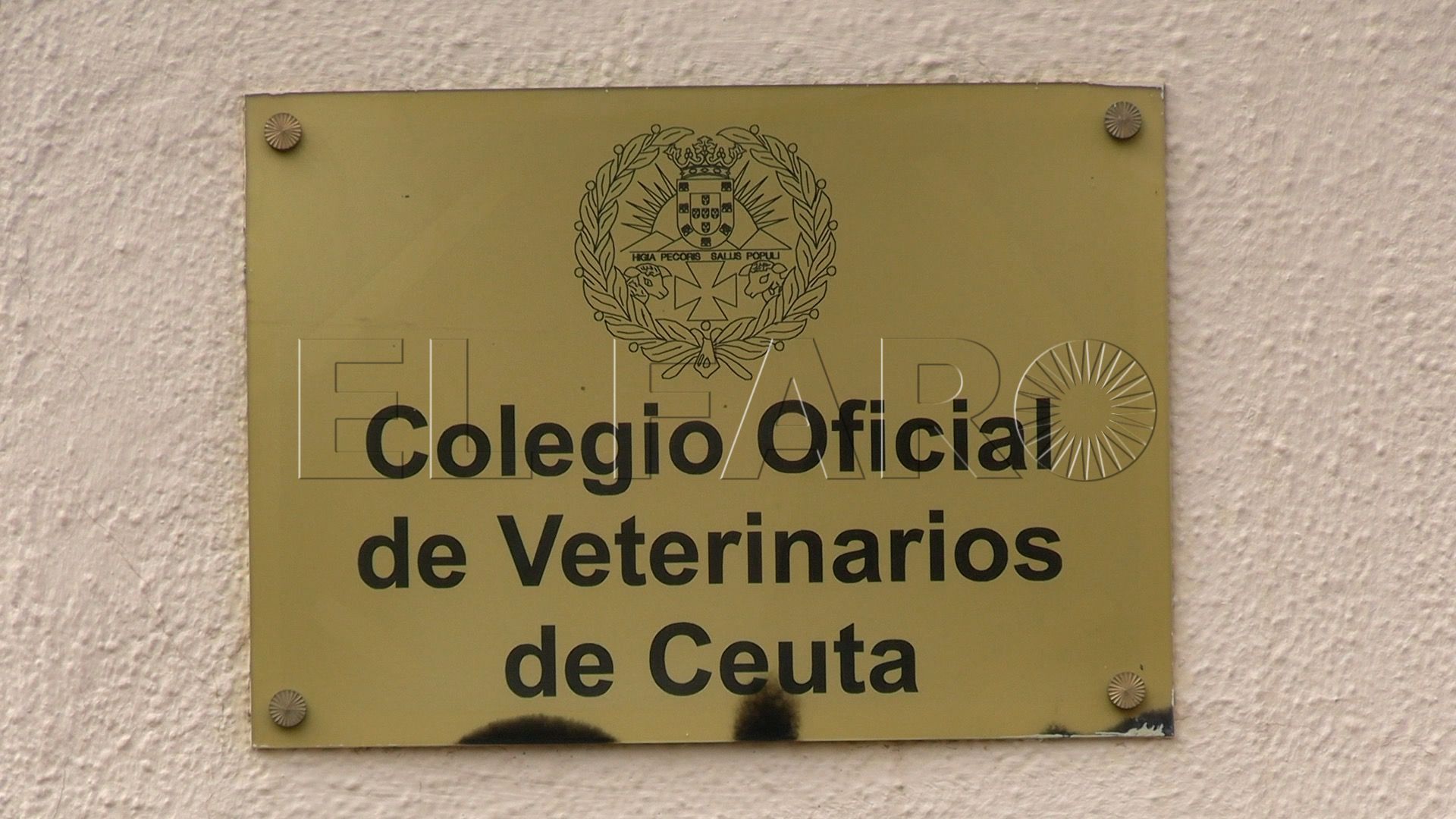 veterinarios-echan-cerrojo-suman-manifestacion-3