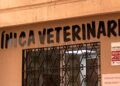 veterinarios-echan-cerrojo-suman-manifestacion-7