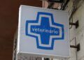 veterinarios-echan-cerrojo-suman-manifestacion-9