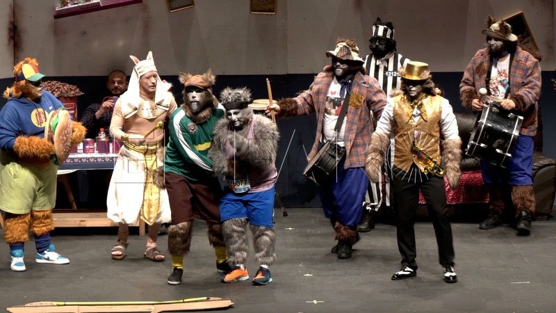 aqui-mando-yo-felinos-sacan-garras-final-coac-carnaval-2025-001