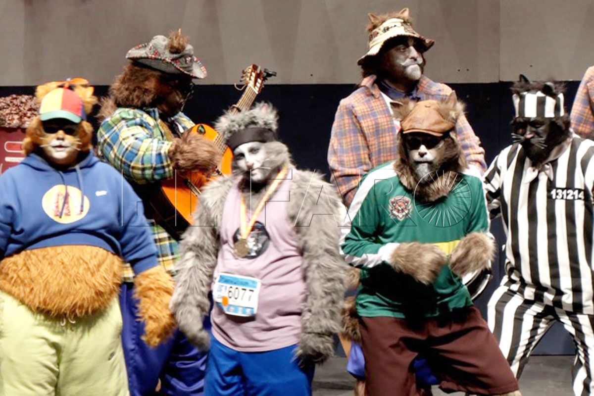 aqui-mando-yo-felinos-sacan-garras-final-coac-carnaval-2025-008-portada