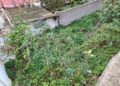 barriada-valle-nido-ratas-serpientes-11
