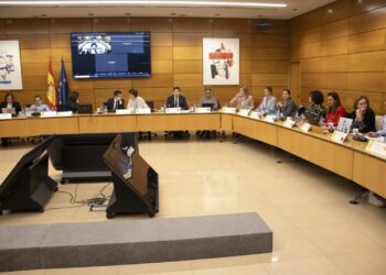 benzina-expone-dificultades-imserso-ministro-001