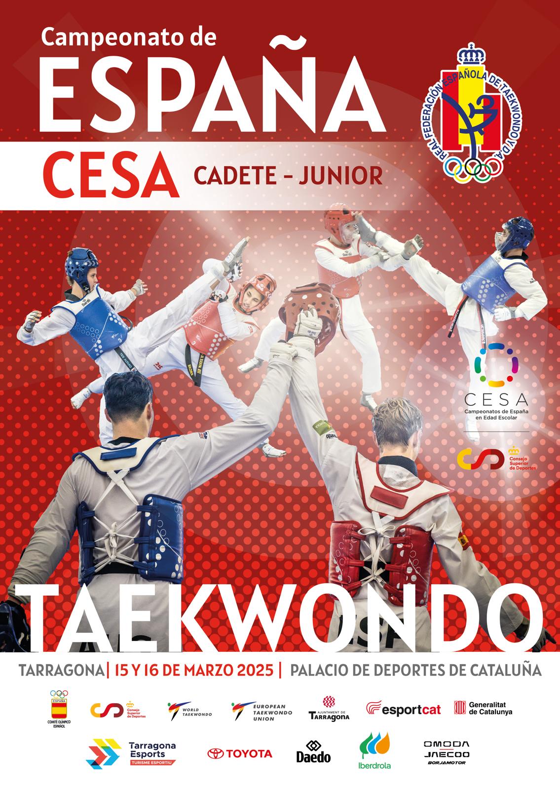 cartel-campeonato-espana-taekwondo