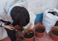 colegio-reina-sofia-comprometido-iniciativa-ecologica-010