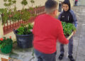 colegio-reina-sofia-comprometido-iniciativa-ecologica-016