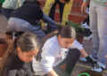 colegio-reina-sofia-comprometido-iniciativa-ecologica-019